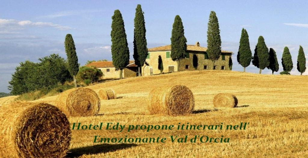 Hotel Eco-hotel Edy